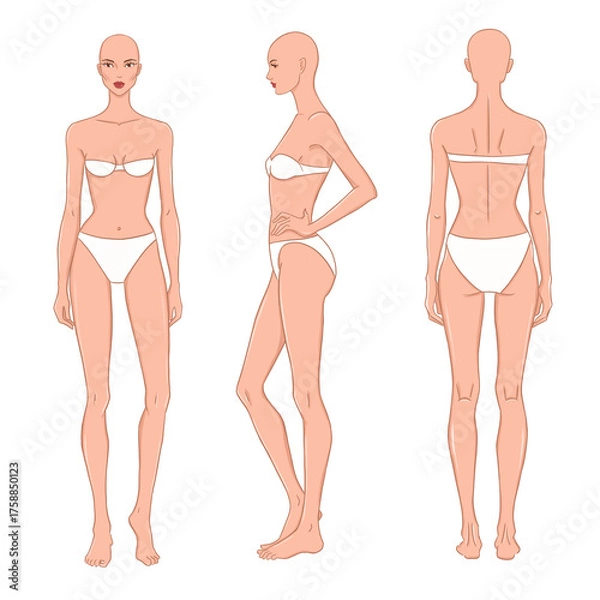 Fototapeta Illustration of a female fashion model shown from front, side, and back views. Perfect for fashion design sketching, garment fitting, croquis drawing, and clothing template creation.