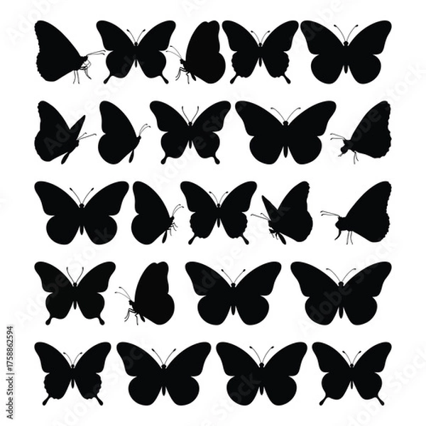 Obraz Flying butterfly silhouettes collection, Tropical insects stencil, ink silhouettes in trendy retro design.