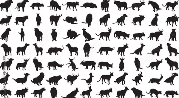 Obraz vector silhouettes of animals