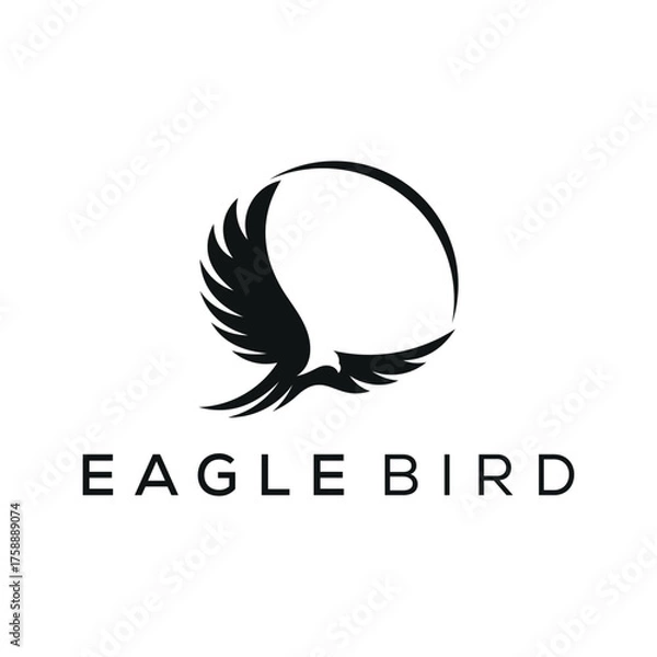 Obraz creative flying eagle hawk bird logo design vector template