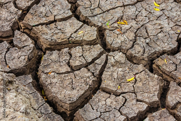 Obraz Large and deep cracks in dry soil during drought