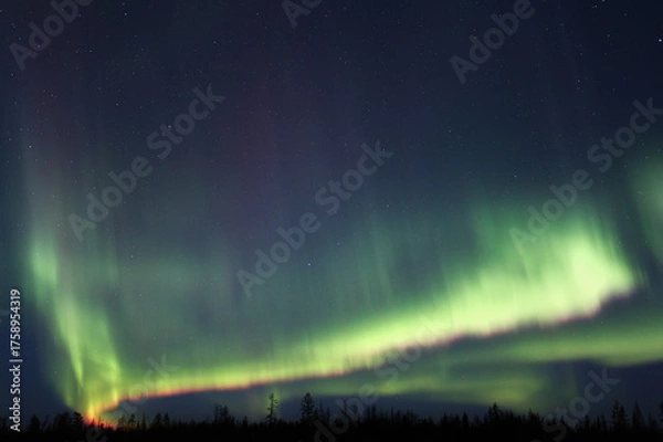 Obraz Northern lights