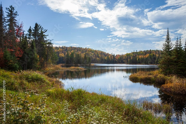 Obraz Small trout lake in northern Minnesota on a bright autumn afternoon
