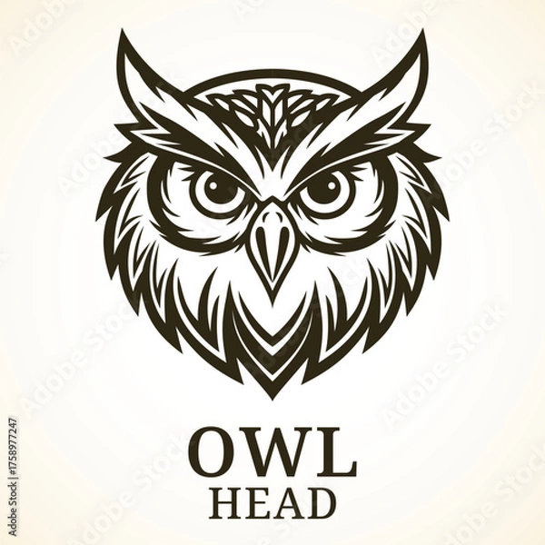 Fototapeta Owl. Vector illustration for a mascot or emblem.  Stylized bold tribal-inspired owl head with dynamic thick strokes, fierce eyes and pointed beak in tattoo style.