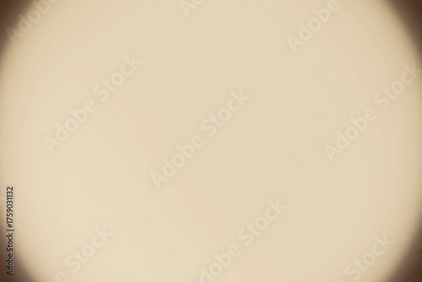 Fototapeta Vintage sepia toy camera photo simulation with vignetting, film grain and semi-transparent bacground. Can be put any image.