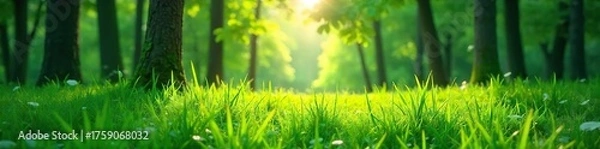 Obraz Sun-Dappled Lush Green Forest Meadow Vibrant Nature Scene Perfect for Ecology and Environmental Backgrounds
