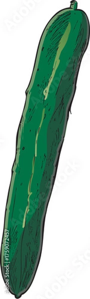Fototapeta きゅうり　イラスト　カラー