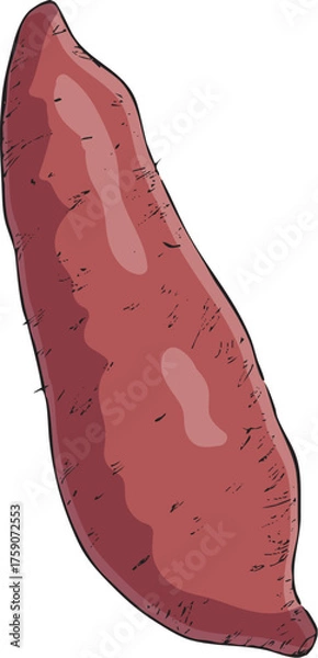 Fototapeta さつまいも　イラスト　カラー