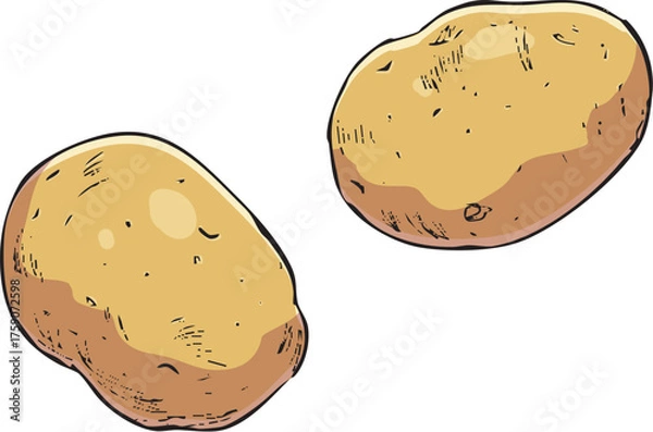 Fototapeta じゃがいも　イラスト　カラー