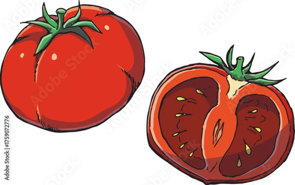 Fototapeta トマト　イラスト　カラー