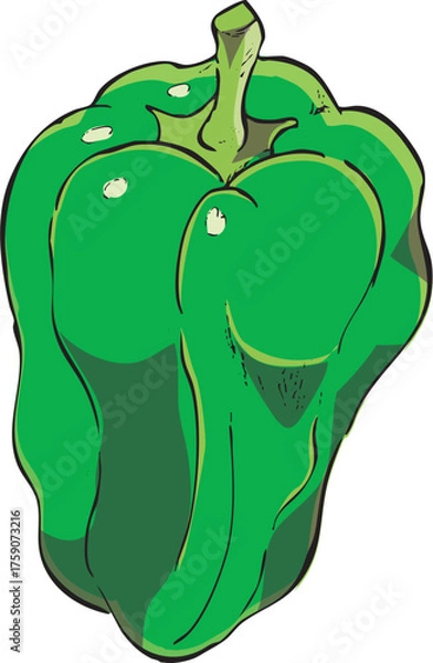 Fototapeta ピーマン　イラスト　カラー