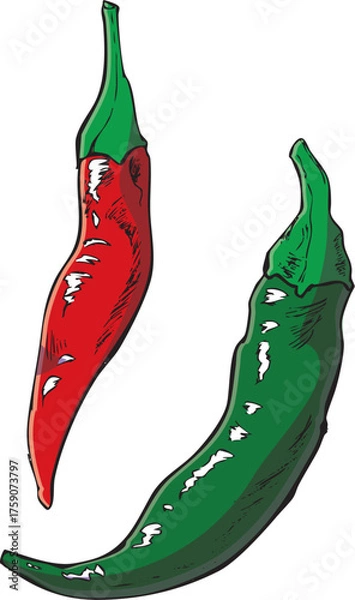 Fototapeta 唐辛子　イラスト　カラー