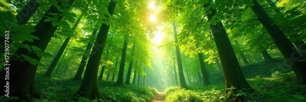 Fototapeta Serene Dappled Sunlight Filtering Through Lush Green Forest Canopy Tranquil Nature Scene