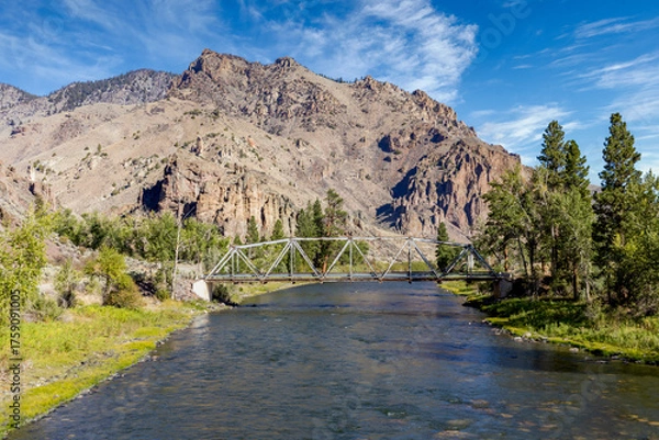 Obraz "Salmon River Bridge"