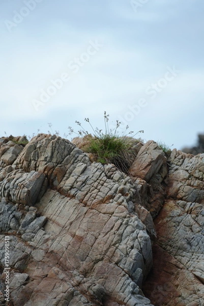 Fototapeta Layered rock formation with small patches of grass growing through its cracks, symbolizing the harmony and resilience of nature