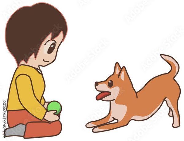 Fototapeta ボールを投げてと催促している柴犬