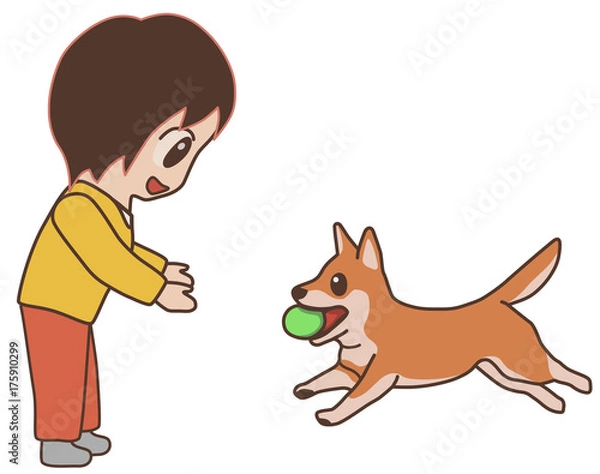 Fototapeta ボールを持って来る犬　柴犬