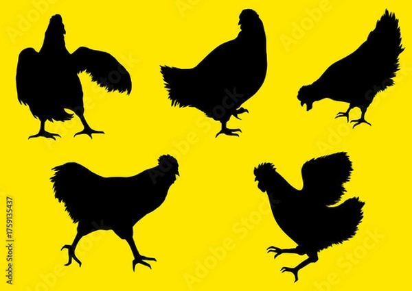Obraz 鶏シルエット