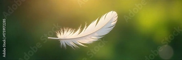 Obraz Ethereal White Feather Falling Gently in Sunlight, Tranquil Nature Background