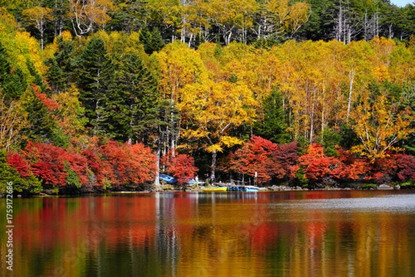 Obraz 秋の白駒池