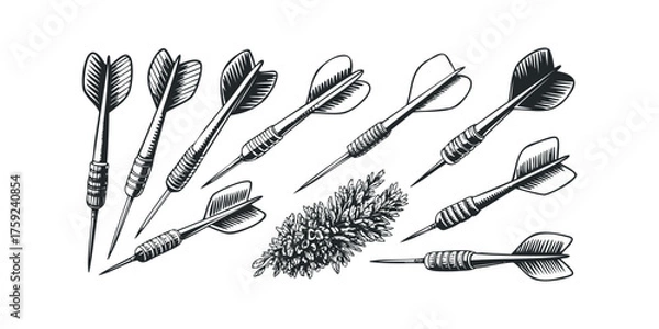 Fototapeta Group of darts and botanical sprig isolated on white
