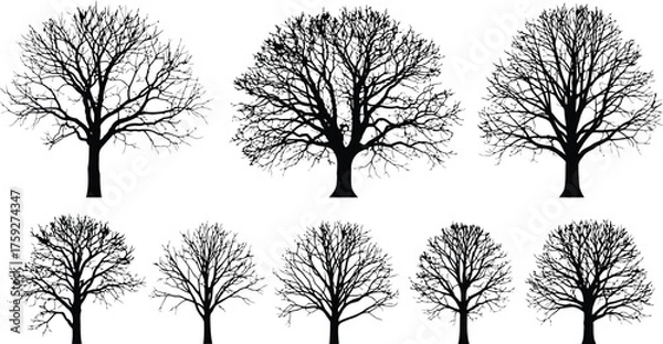 Fototapeta Vector art of collection of bare deciduous tree silhouettes in winter