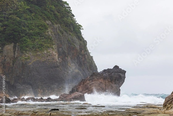 Obraz 大しけのかえる島
