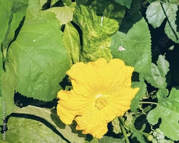 Obraz grunge floral background