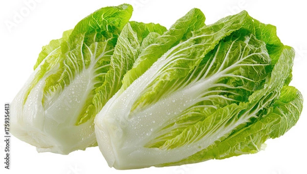 Obraz Fresh, crisp, and vibrant heads of leafy green cabbage, ready for cooking or salad preparation