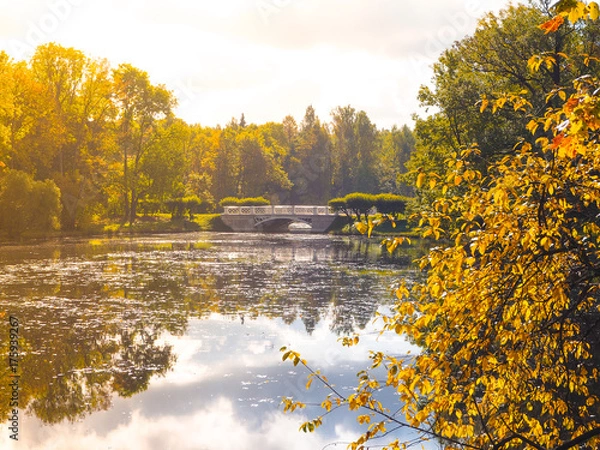 Obraz Autumn lake in the Park. Alexanrovsky Park in St. Petersburg. The Town Of Pushkin.
