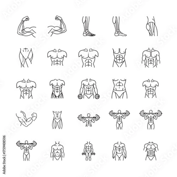 Obraz Set of bodybuilder line icons vector outline illustration for fitness and gym concepts isolated on w