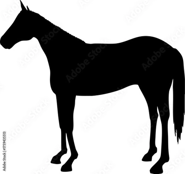 Fototapeta 左向きに立つ馬　モノクロシルエットイラスト