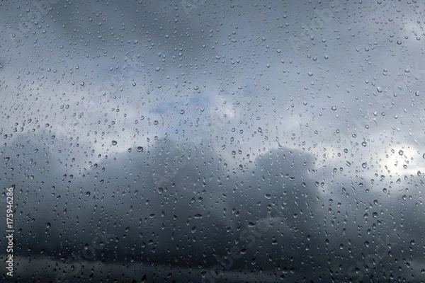 Obraz rain on the window