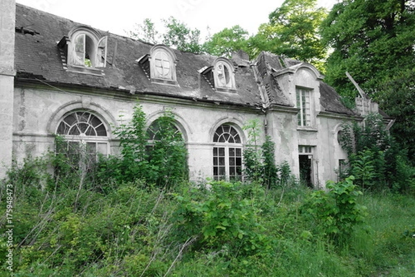 Obraz chateauu profil