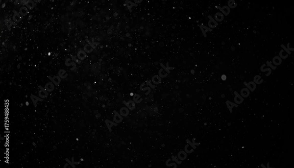 Fototapeta Floating Dust Motes on Black Background