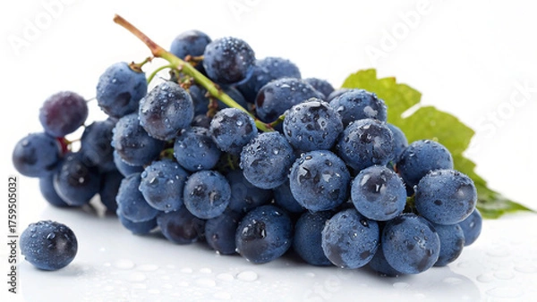 Fototapeta Fresh Blue Grapes with leaves isolated in white background