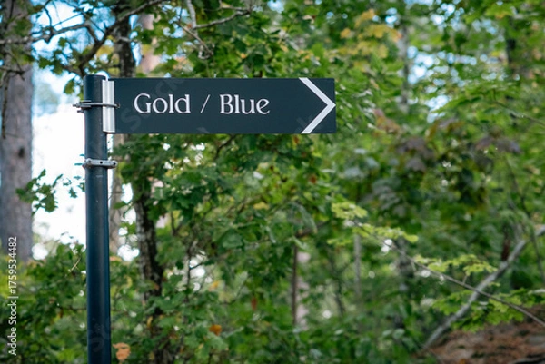 Fototapeta direction sign in the park