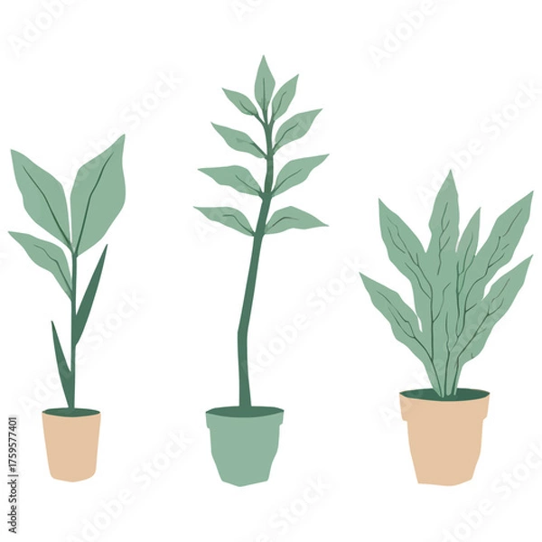 Fototapeta Set of Three Minimalist Line Art Prints of Monstera Fiddle Leaf Fig and Snake Plant | Modern Botanical Line Drawings Trio Wall Art | Minimal Plant Illustration Series Featuring Popular Houseplants 