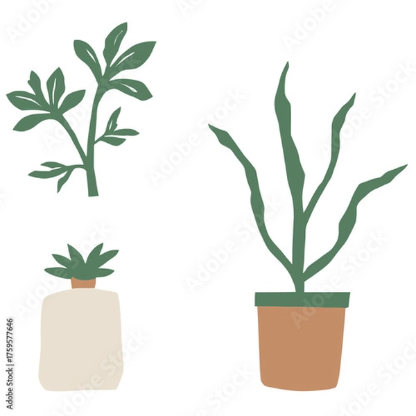 Fototapeta Set of Three Minimalist Line Art Prints of Monstera Fiddle Leaf Fig and Snake Plant | Modern Botanical Line Drawings Trio Wall Art | Minimal Plant Illustration Series Featuring Popular Houseplants 