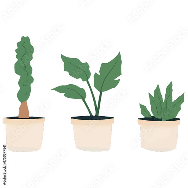 Fototapeta Set of Three Minimalist Line Art Prints of Monstera Fiddle Leaf Fig and Snake Plant | Modern Botanical Line Drawings Trio Wall Art | Minimal Plant Illustration Series Featuring Popular Houseplants 