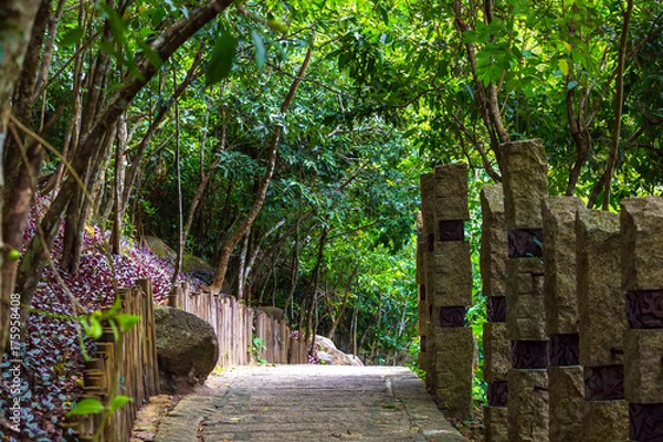 Fototapeta Concrete path, laid in the forest. Yalong Bay Tropic Paradise Forest Park, Hainan, China.