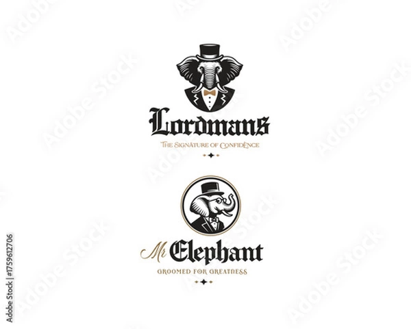 Fototapeta Gentleman elephant wearing a top hat as business man logo template