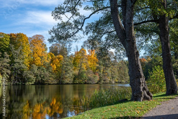 Fototapeta View from waterfront park Åbackarna across Motala Stream towards Folkparken during autumn in mid-October 2025 in Norrköping, Sweden