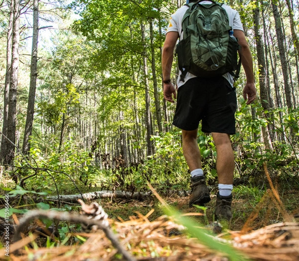 Obraz Hiking in Texas