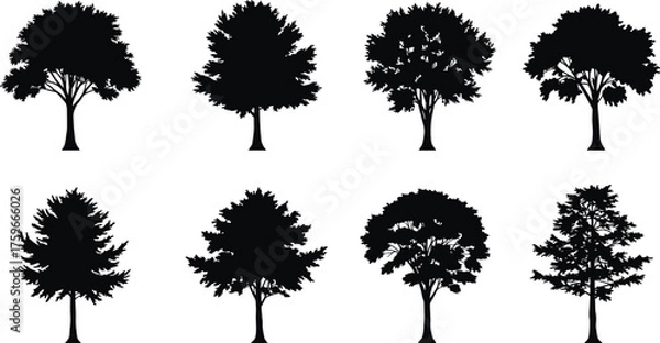 Fototapeta Collection of eight realistic tree silhouettes isolated on white background, detailed black vector trees for nature, landscape, environment, and design illustration