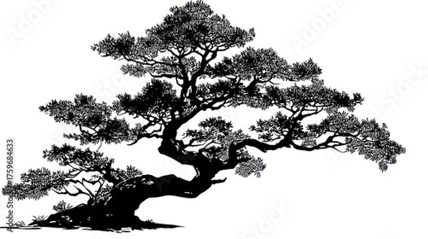 Fototapeta Silhouette of a bonsai tree with branches against a white background