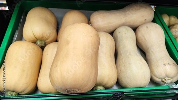 Obraz pumpkin on the market