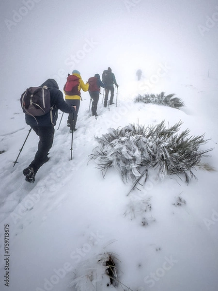Obraz Neige sur les pyrénées
