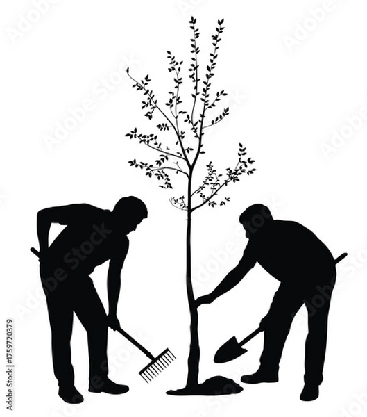 Obraz Two silhouettes planting a young tree vector illustration scalable eps iconic design silhouette vector illustration white background