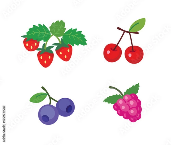 Fototapeta Vector cartoon images, illustration of berries - raspberry, strawberry, cherry, blueberry, blackberry isolated on a white background.